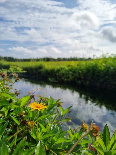 A narrow waterway surrounded by green fields