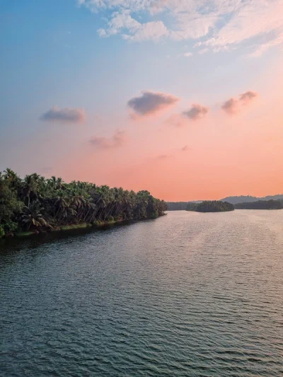 A palm-lined river beneath a pink evening sky