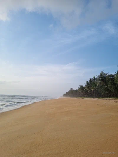 An empty sandy beach beneath a pale blue sky